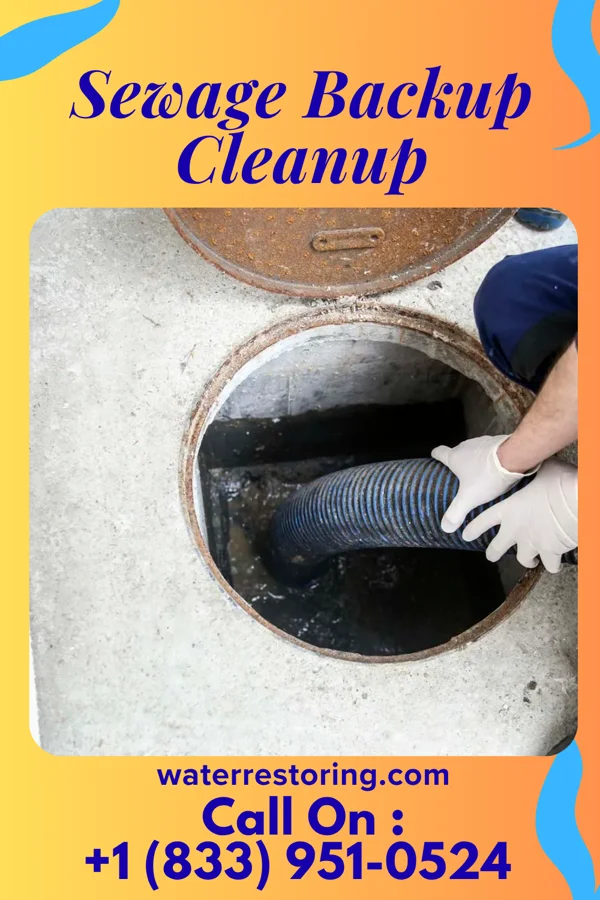 Sewage Backup Cleanup in Park, KS
